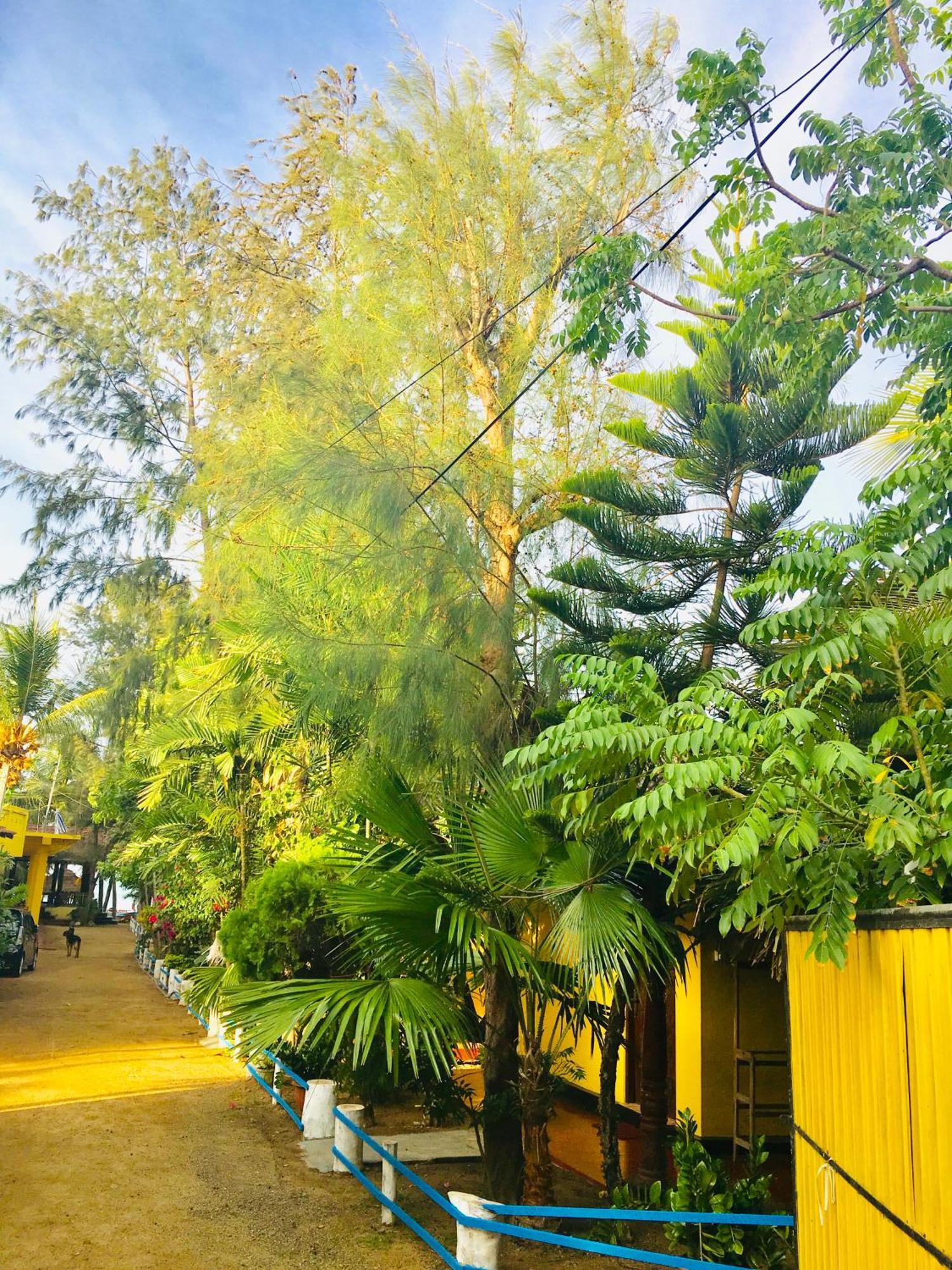 Shashini Beach Resort Arugam Bay Exterior photo